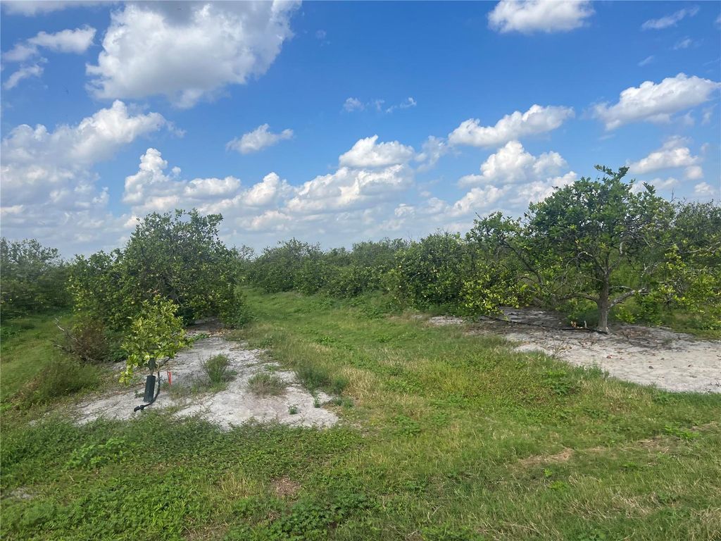 Photo of NE Hwy 70, Arcadia, FL 34266 (MLS # O6389714)