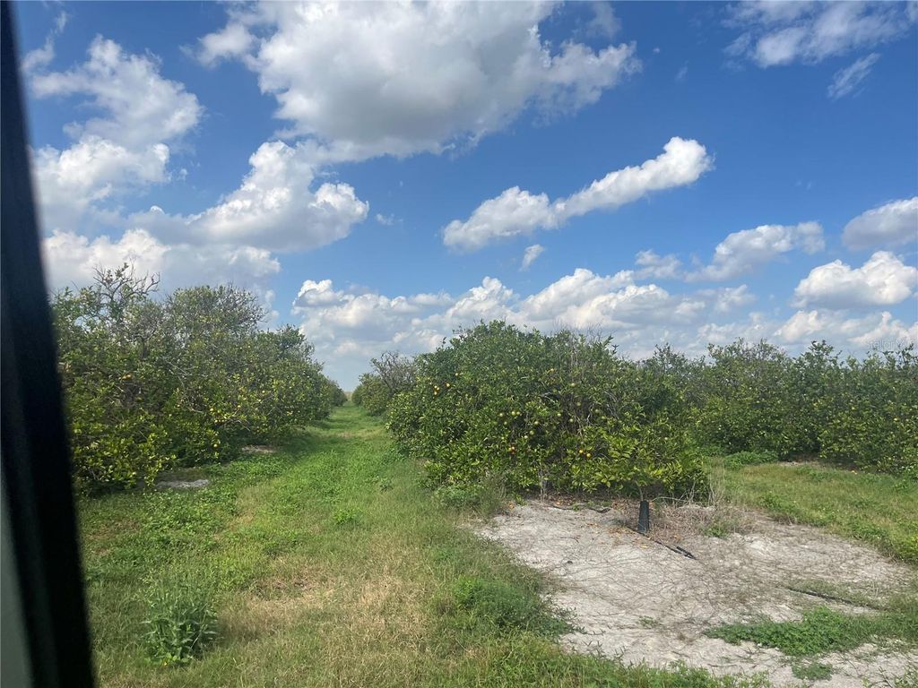 Photo of NE Hwy 70, Arcadia, FL 34266 (MLS # O6389714)
