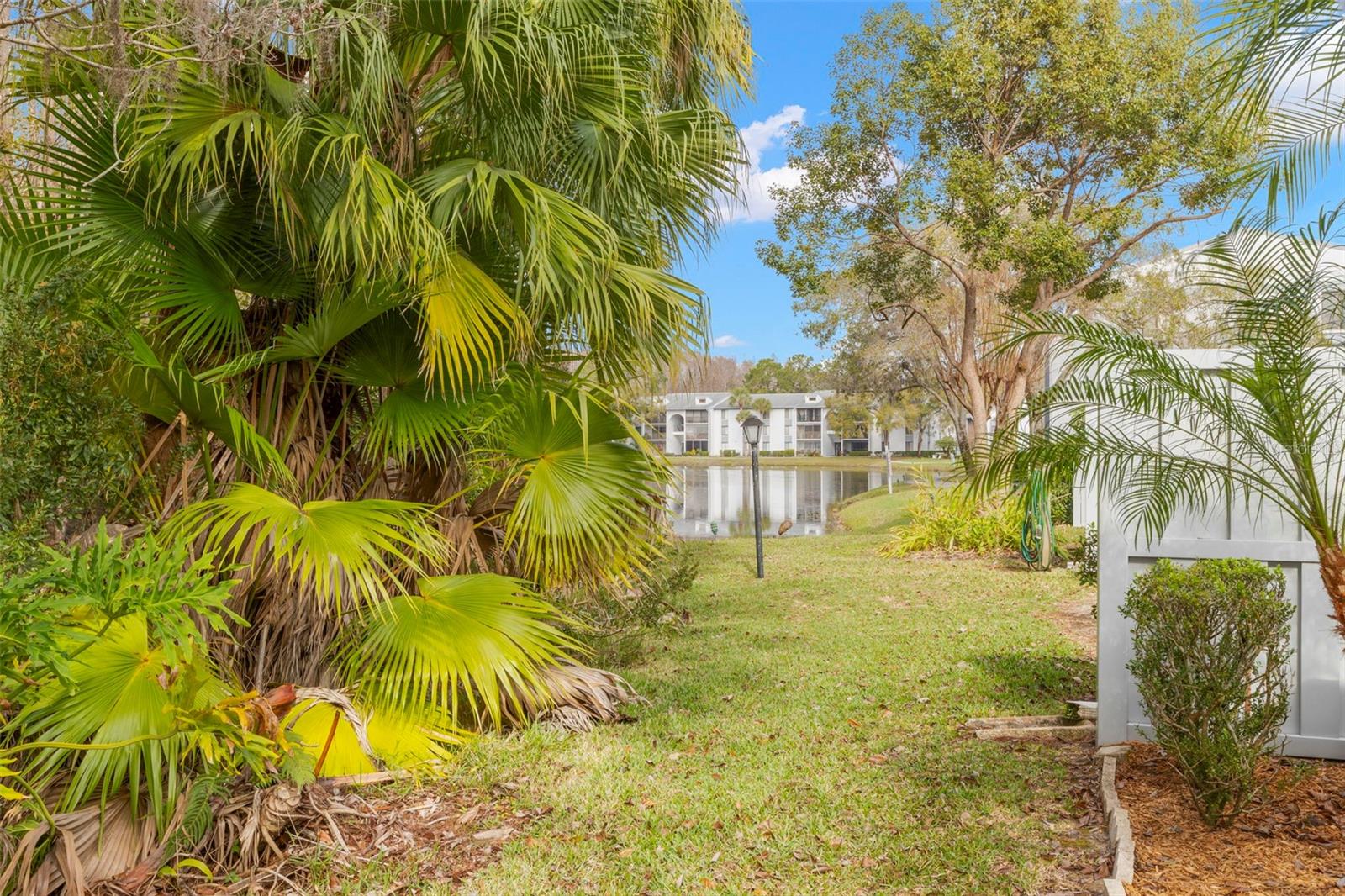 PINE RIDGE AT LAKE TARPON VILLAGE - Residential