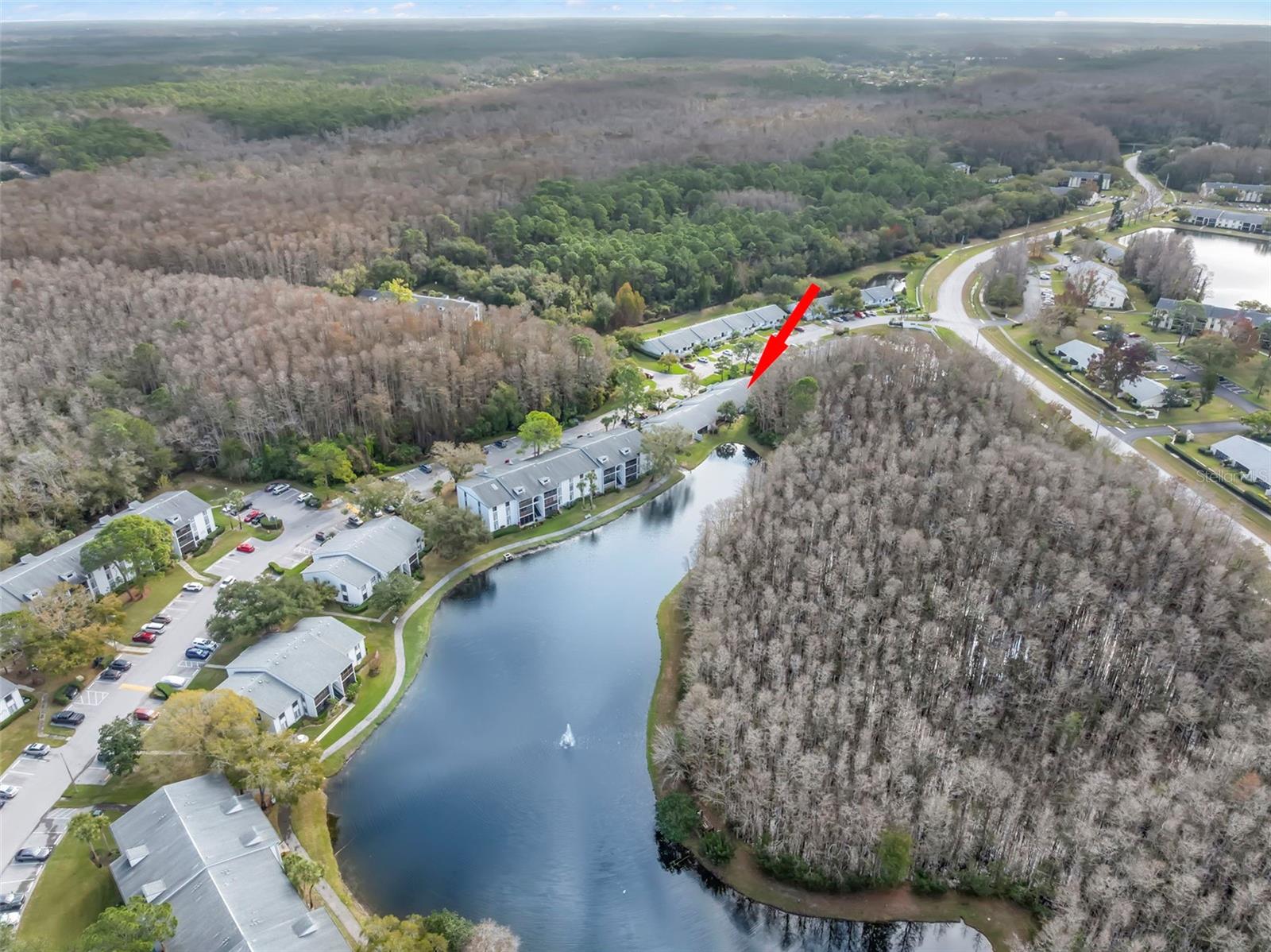 PINE RIDGE AT LAKE TARPON VILLAGE - Residential