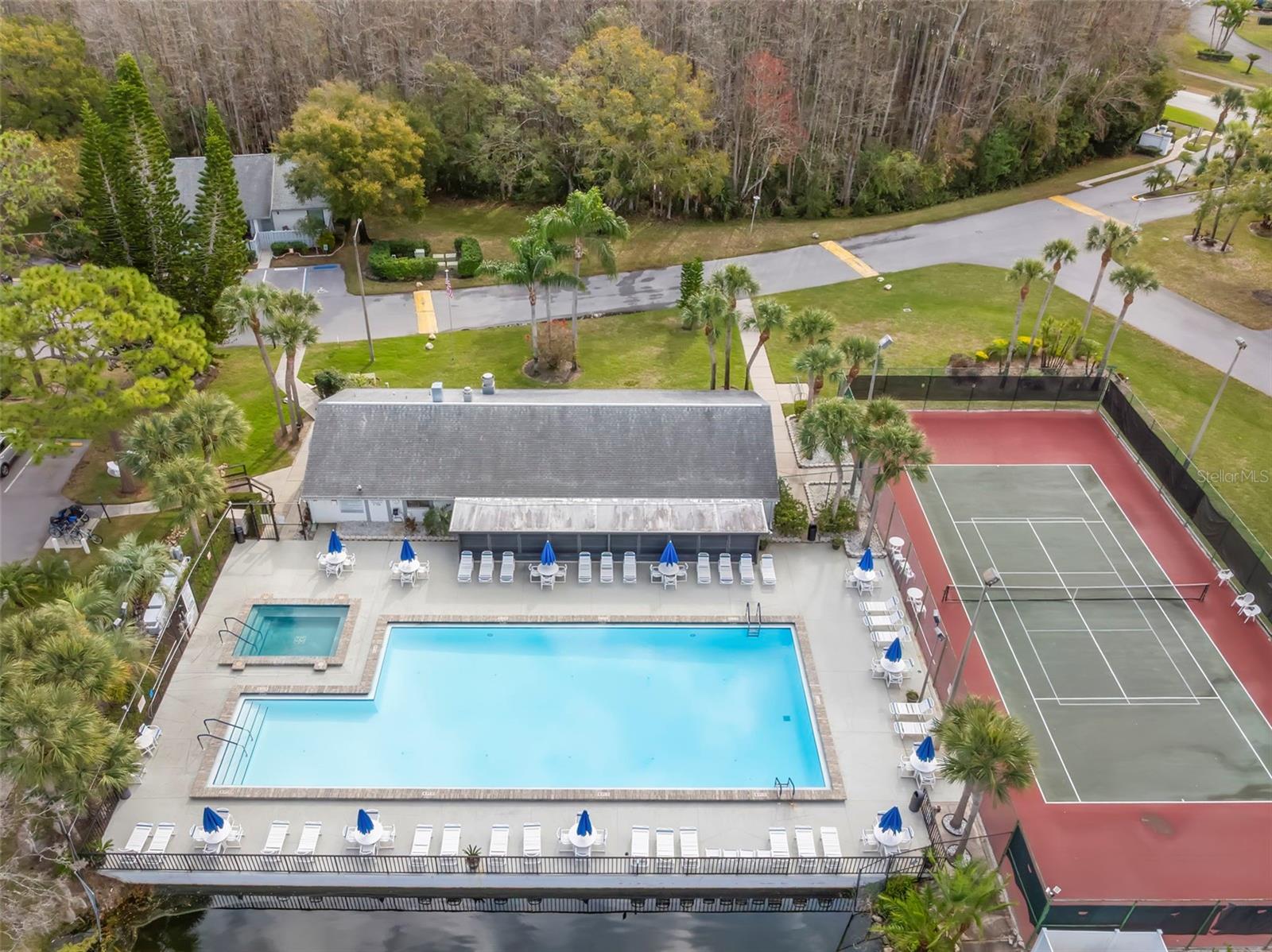 PINE RIDGE AT LAKE TARPON VILLAGE - Residential