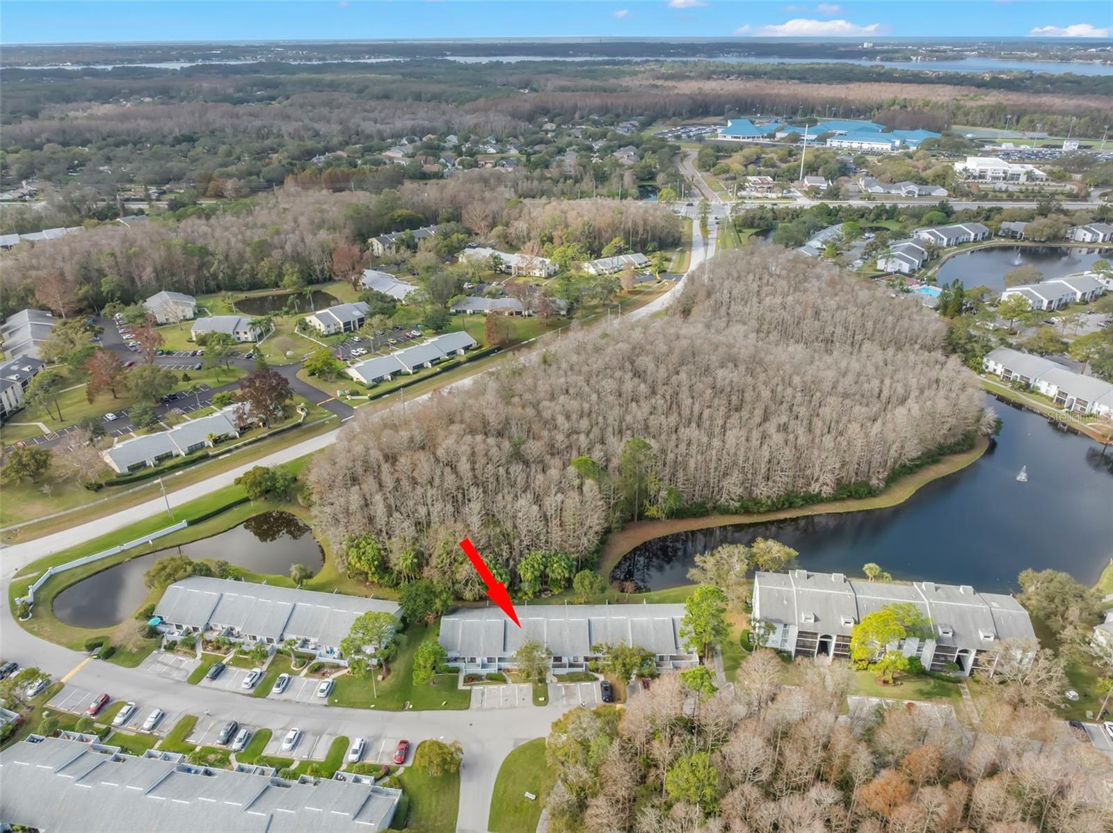 PINE RIDGE AT LAKE TARPON VILLAGE - Residential