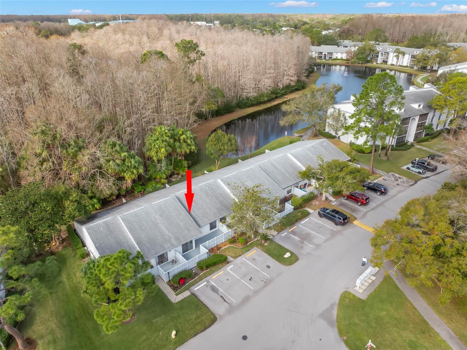 PINE RIDGE AT LAKE TARPON VILLAGE - Residential
