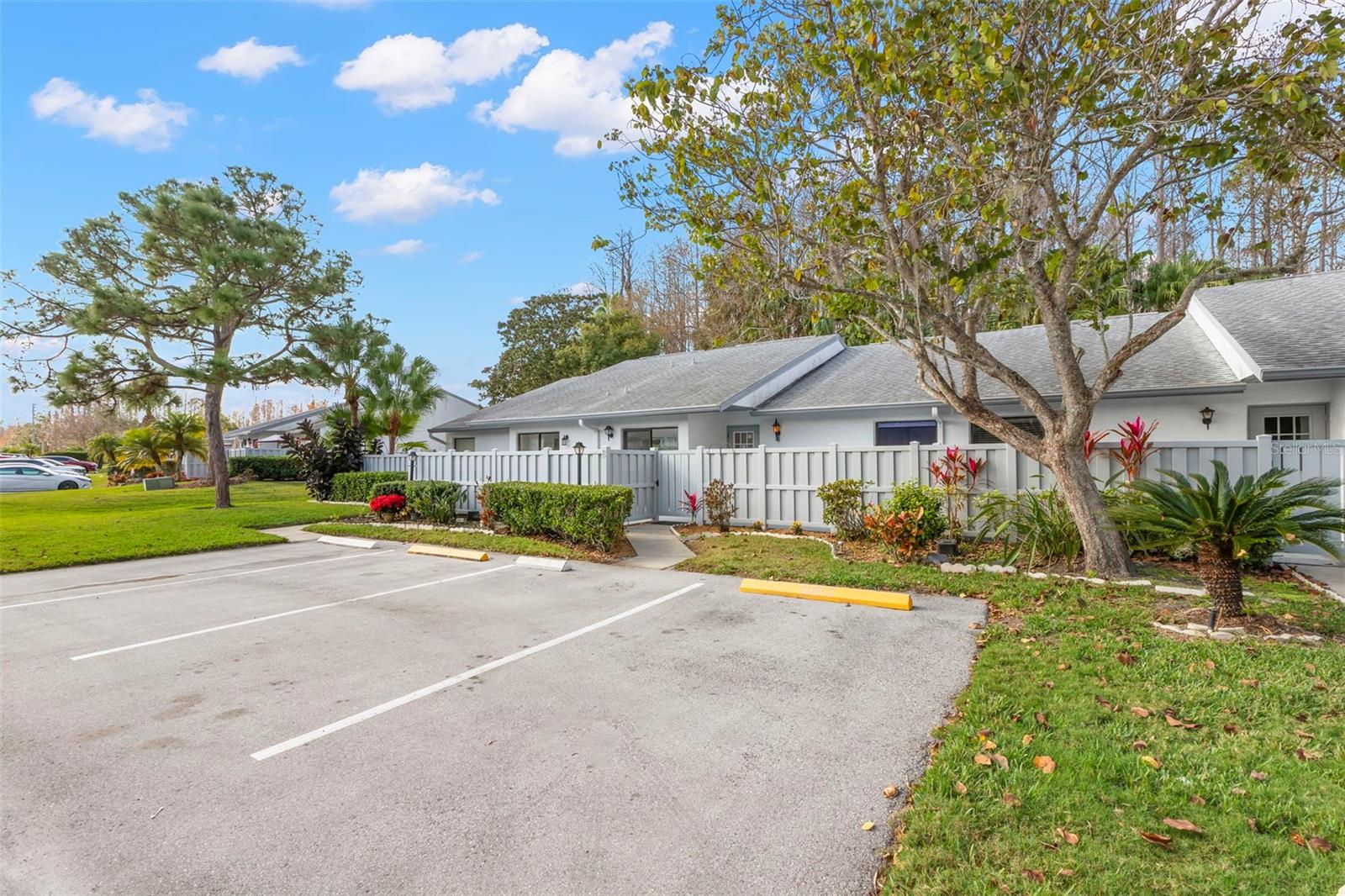 PINE RIDGE AT LAKE TARPON VILLAGE - Residential