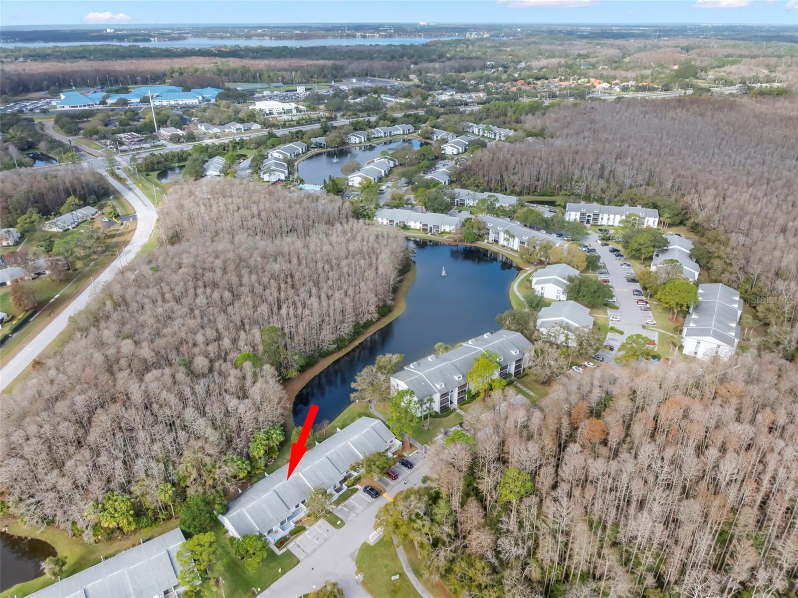 PINE RIDGE AT LAKE TARPON VILLAGE - Residential