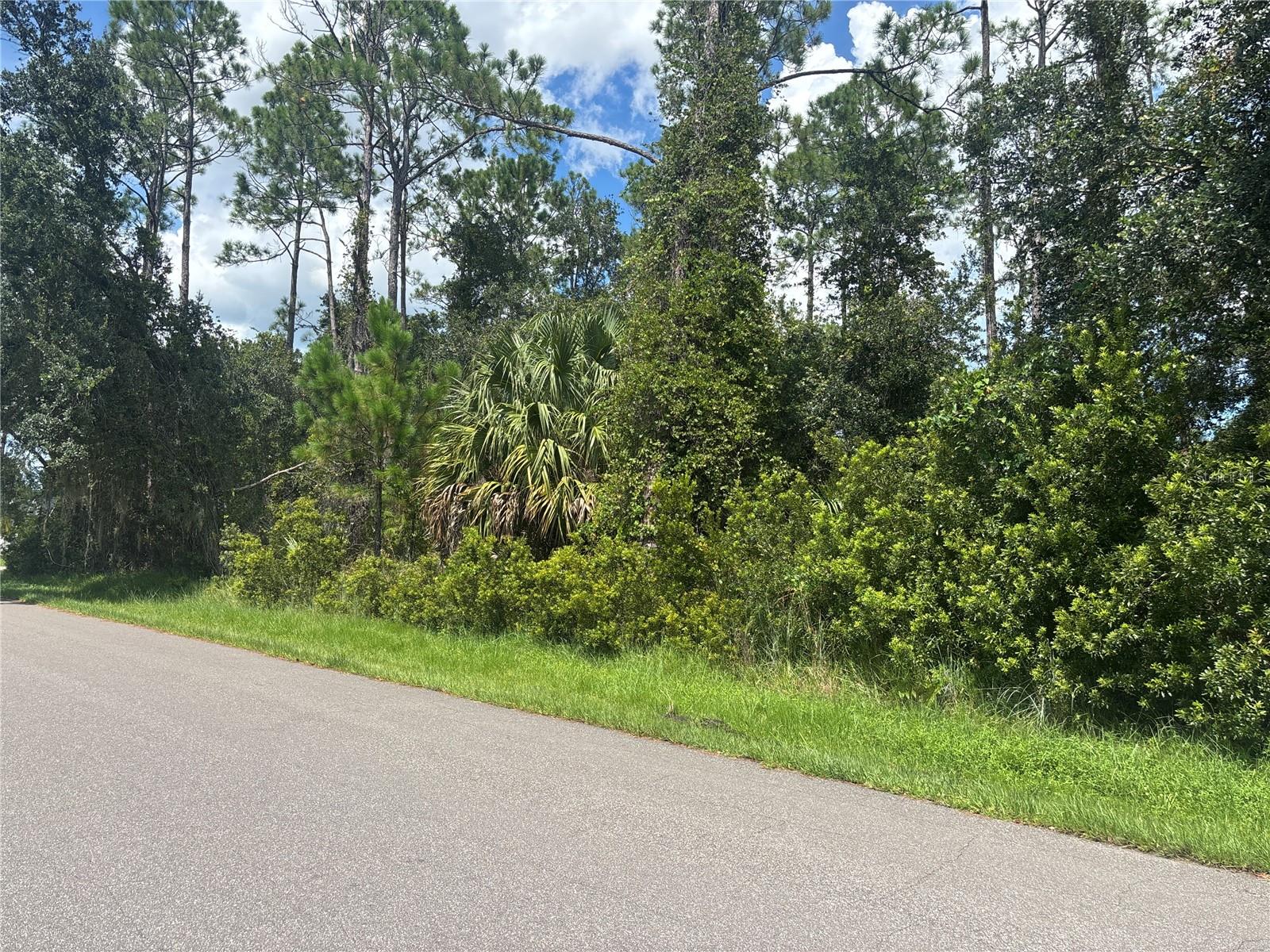 24 ZINNIA TRAIL