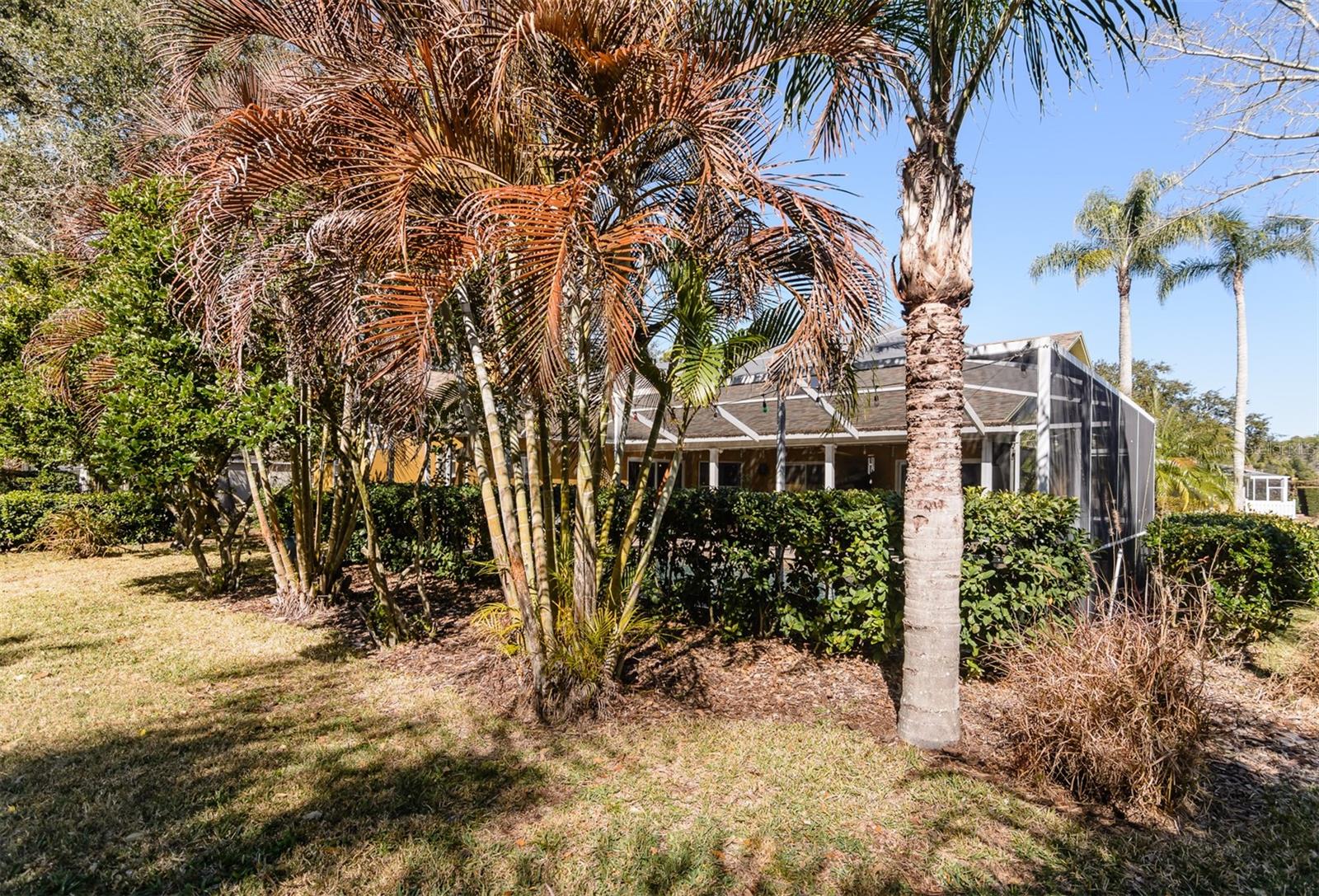 WINDEMERE - Residential