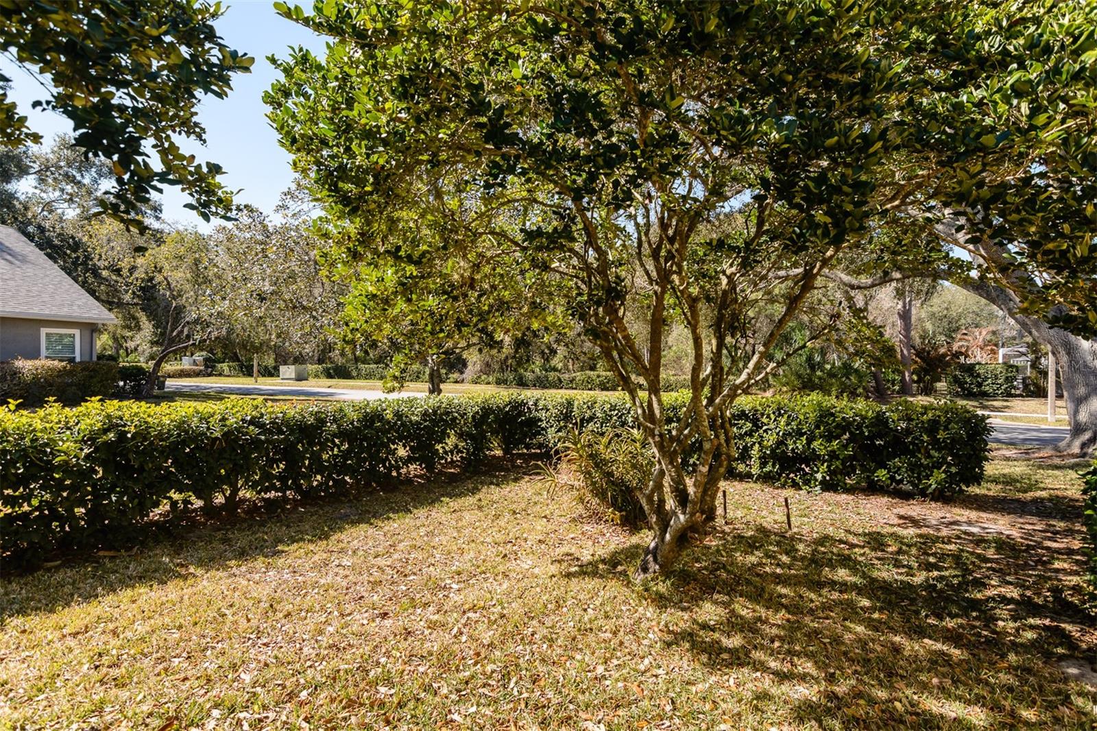 WINDEMERE - Residential