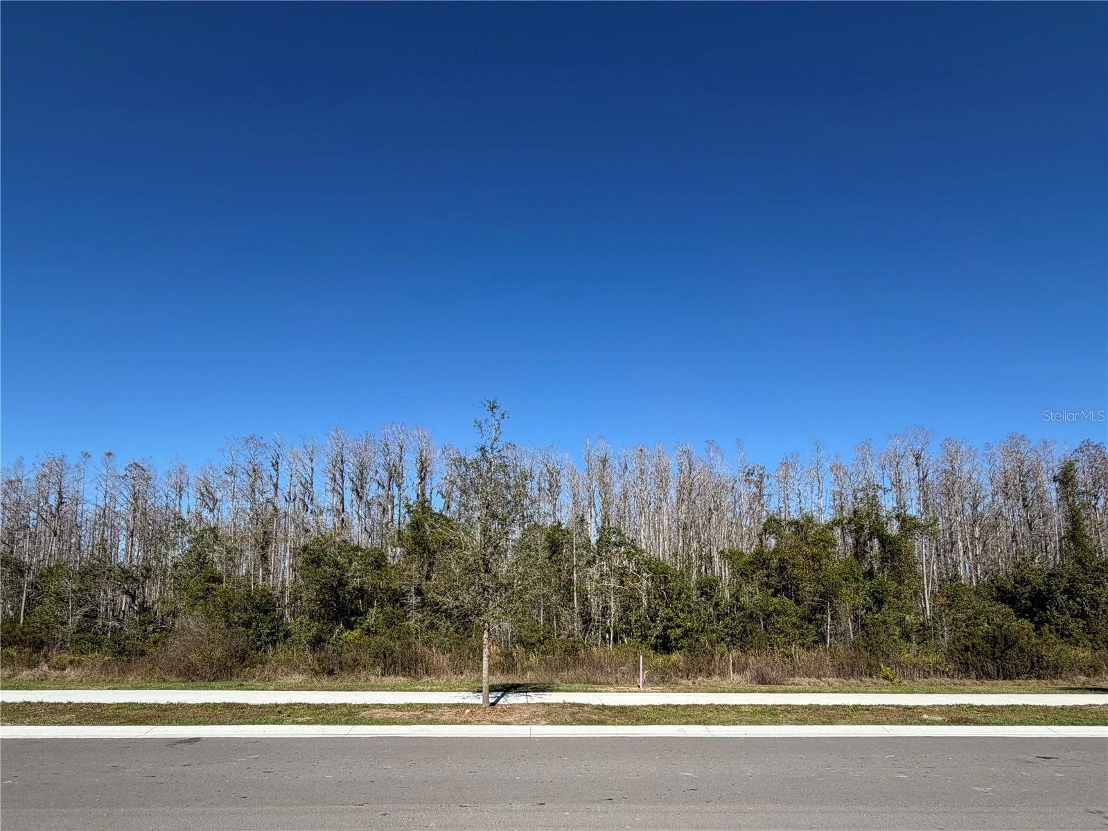 ANGELINE PHASE 4D - Residential Lease