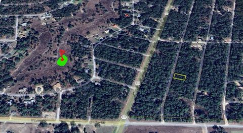 TBD NE 154 AVENUE WILLISTON FL 32696