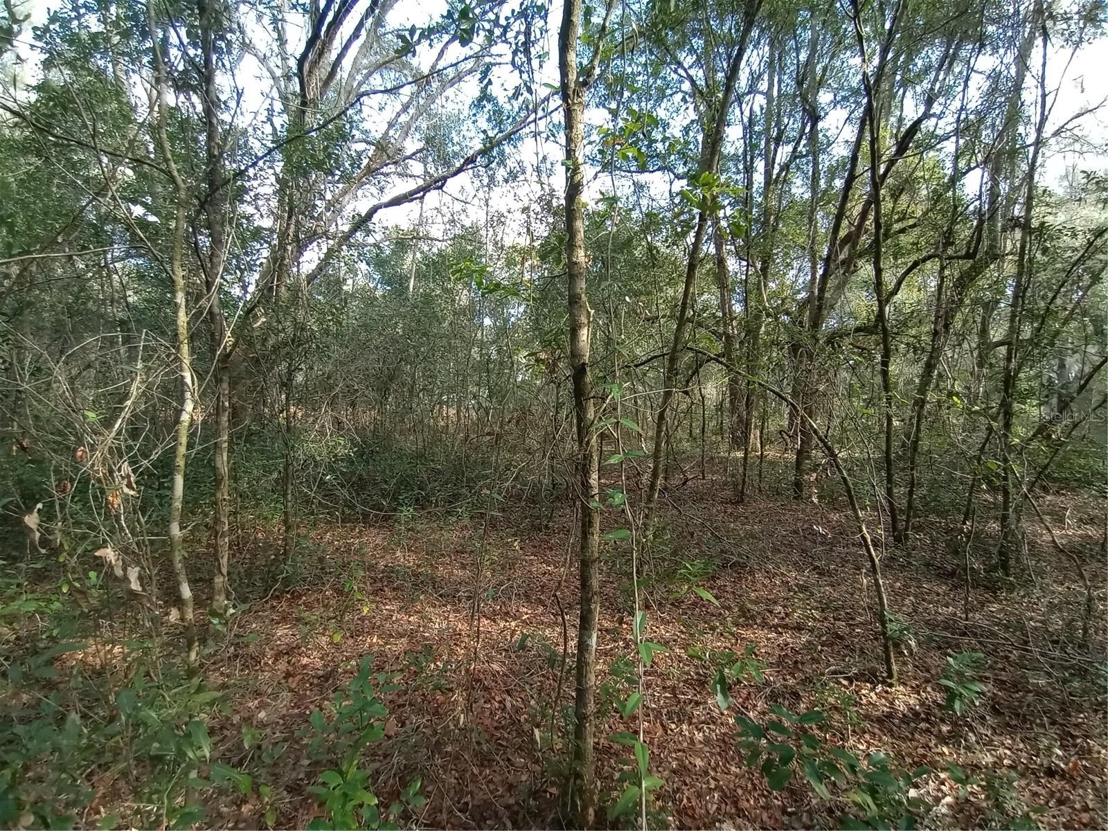 RIDGE MANOR ESTATE - Land