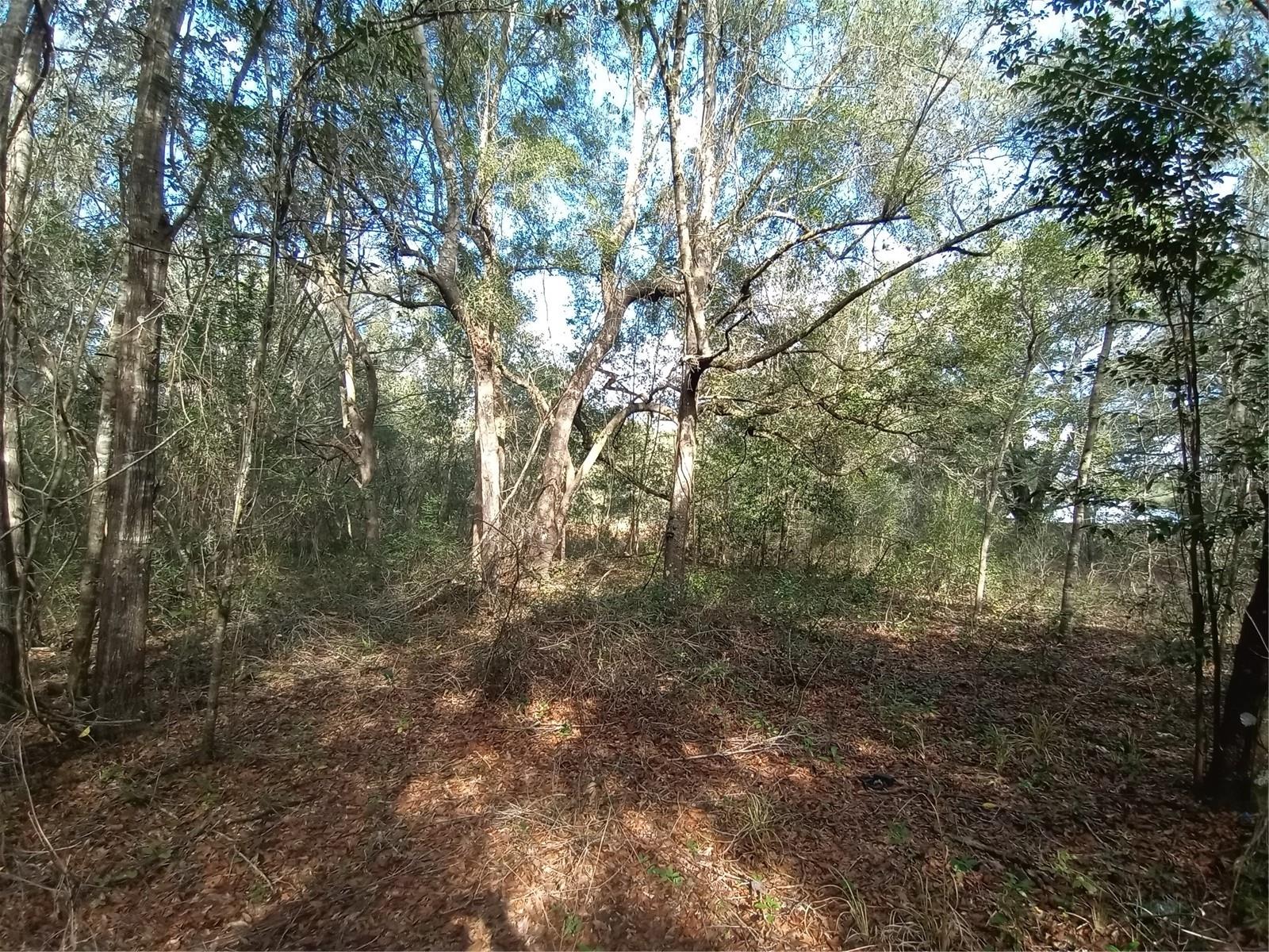 RIDGE MANOR ESTATE - Land