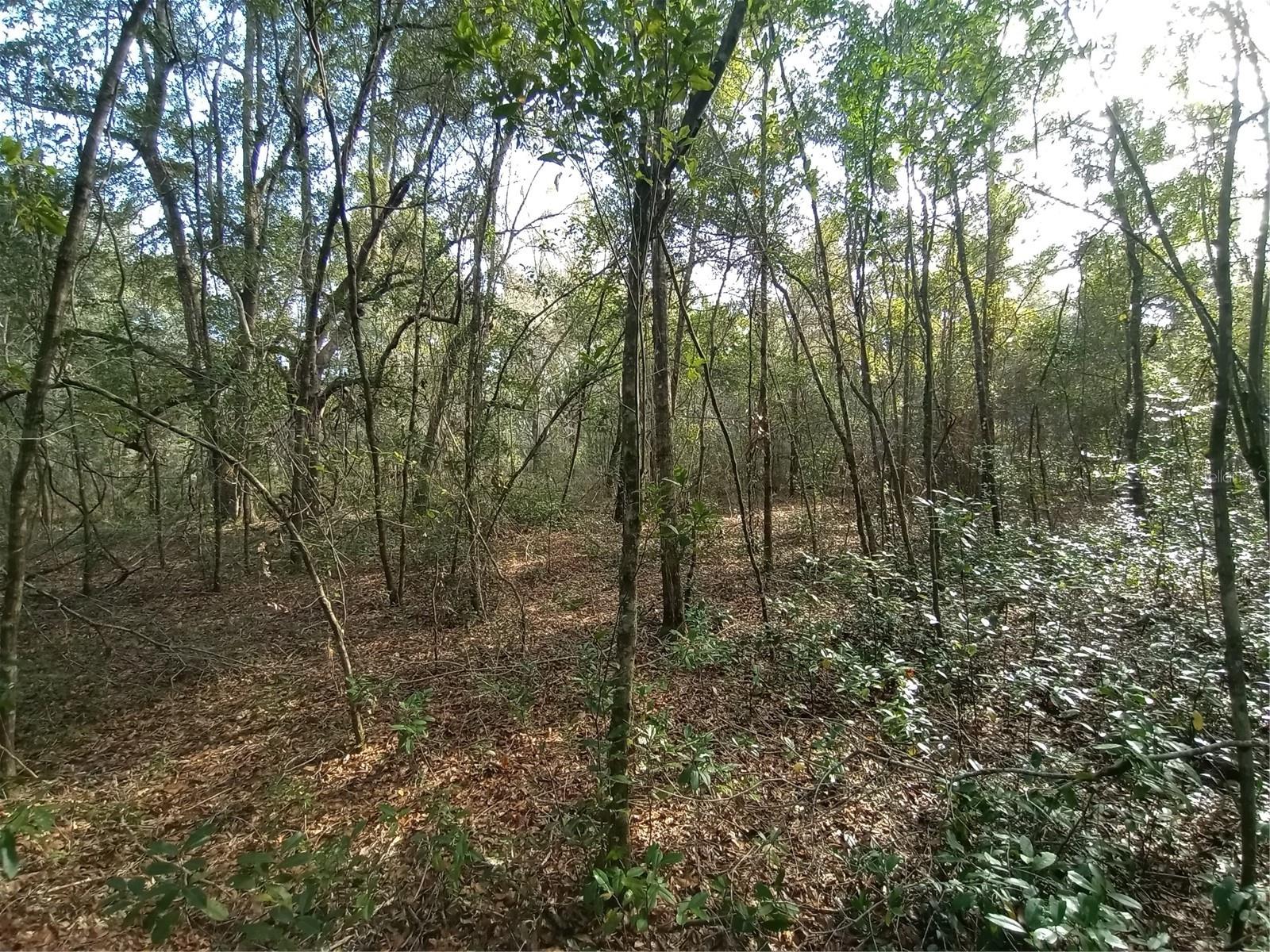 RIDGE MANOR ESTATE - Land