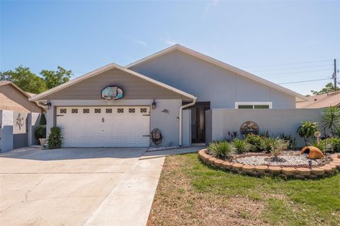 A home in PALM HARBOR