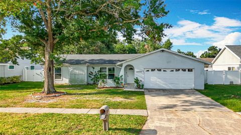 5808 SILVER MOON AVE TAMPA FL 33625