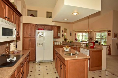 A home in SUN CITY CENTER