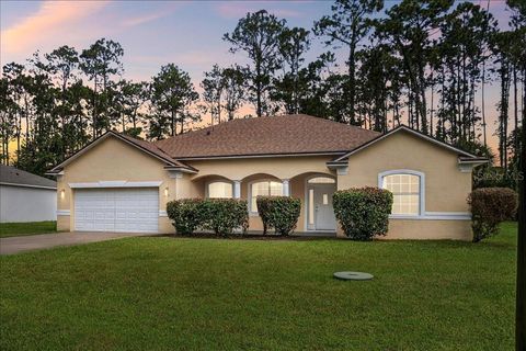 Photo of 45 Powder Horn Drive, Palm Coast, FL 32164 (MLS # FC312175) Photo of 45 Powder Horn Drive, Palm Coast, FL 32164 (MLS # FC312175)