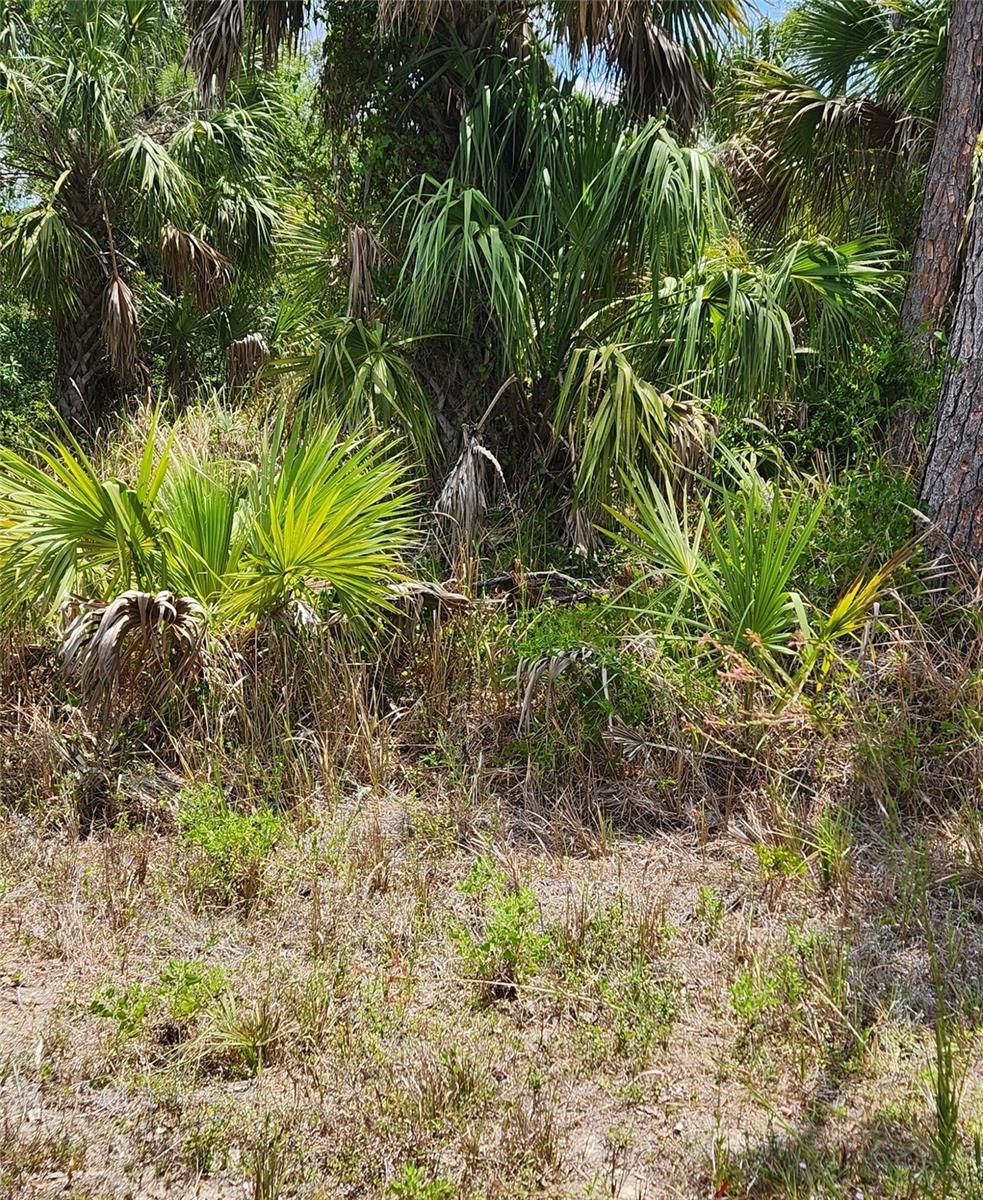 PORT CHARLOTTE SUB 12 - Land