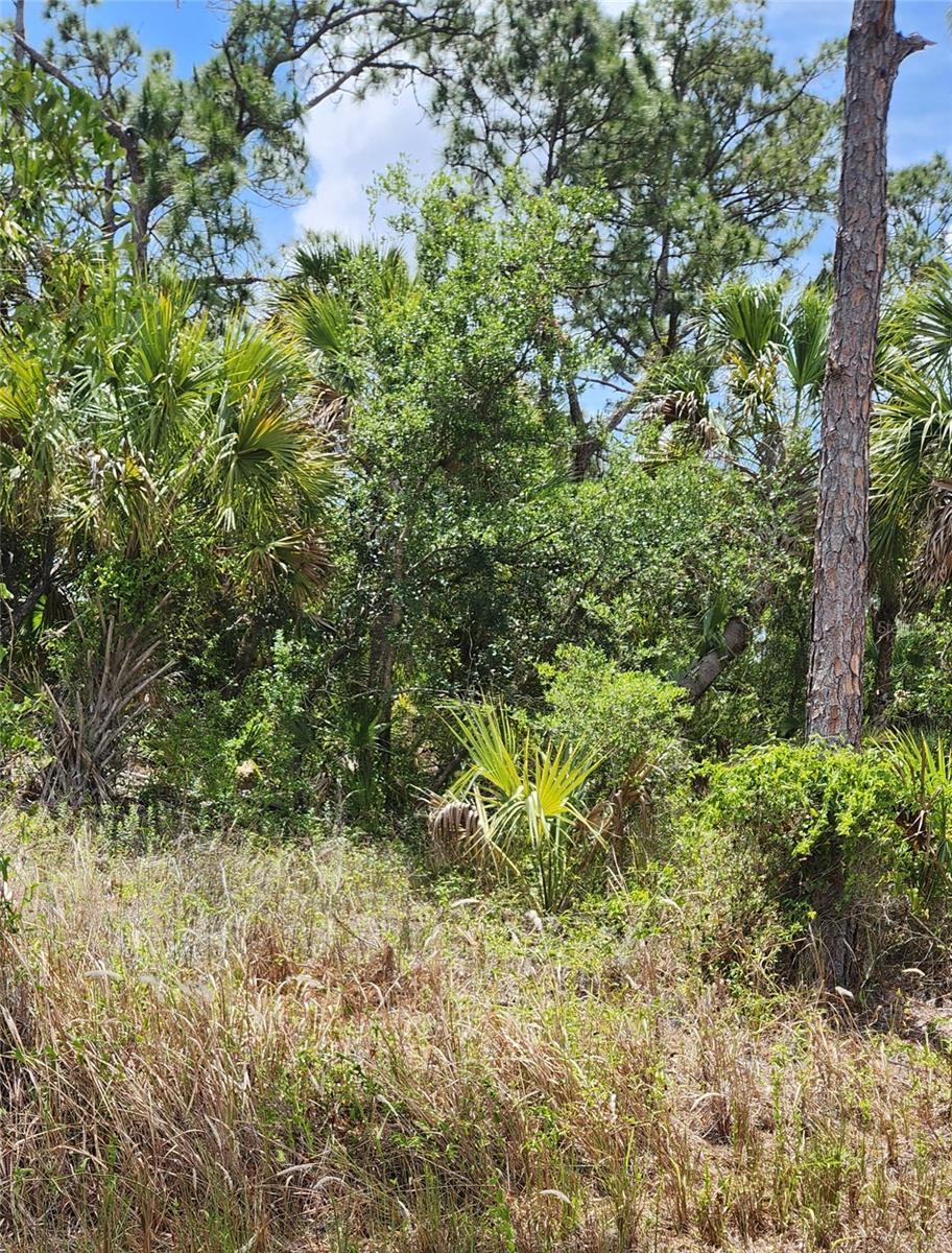 PORT CHARLOTTE SUB 12 - Land