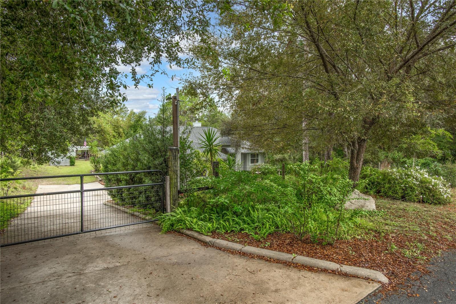 30734 BUTTERCUP LANE