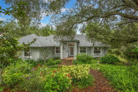 30734 BUTTERCUP LANE MOUNT DORA FL 32757