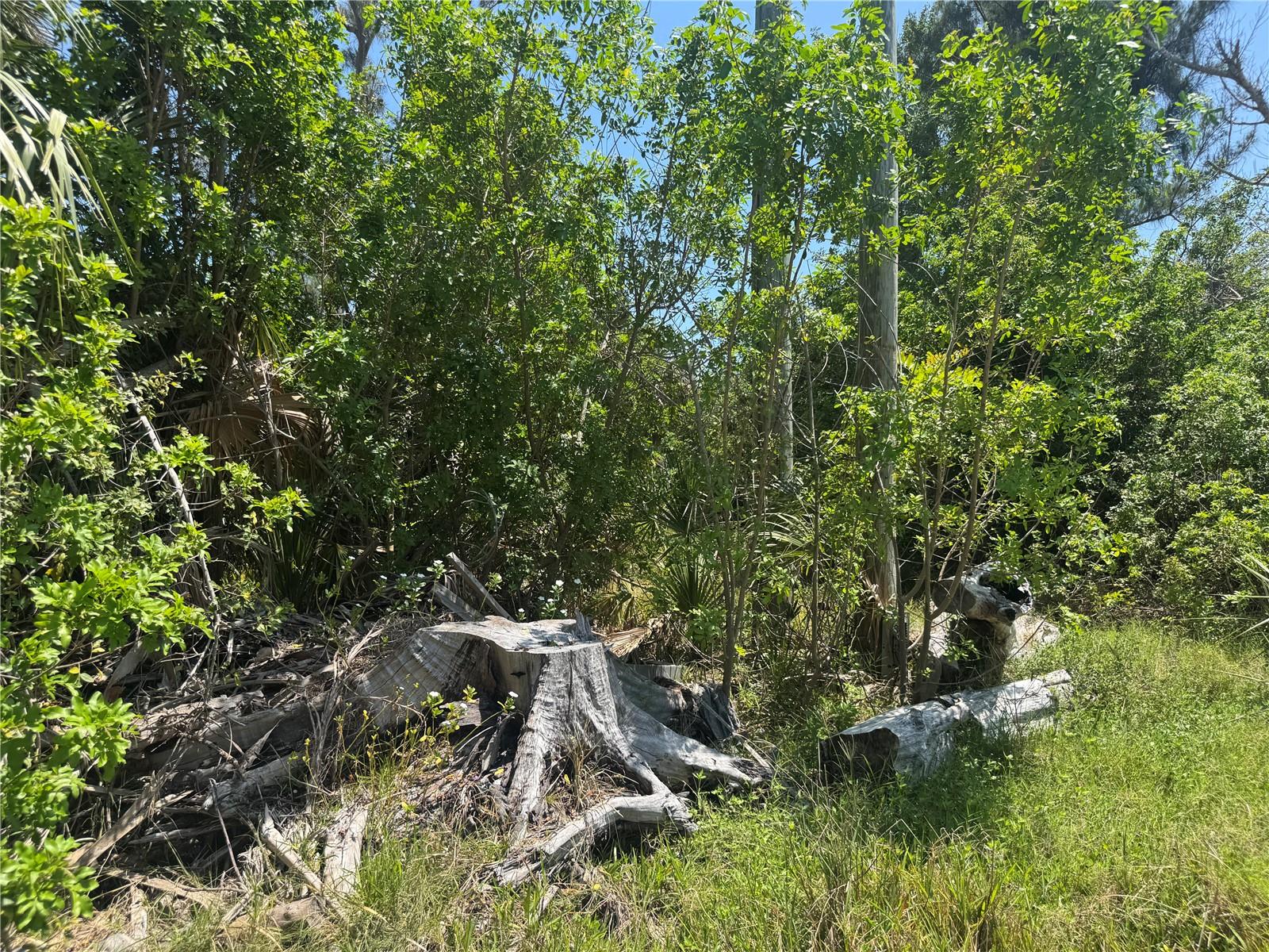 GASPARILLA SHORES - Land