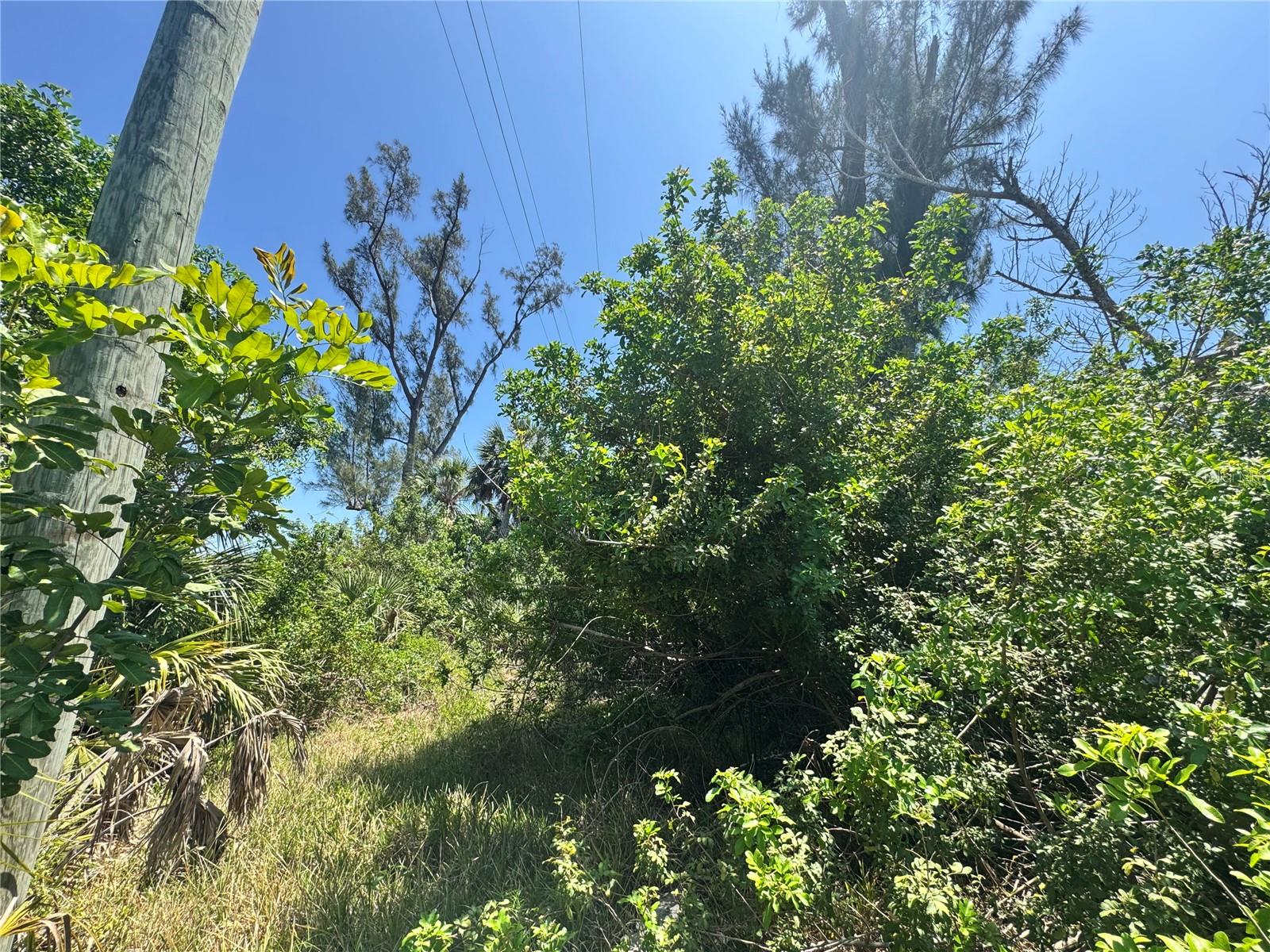 GASPARILLA SHORES - Land