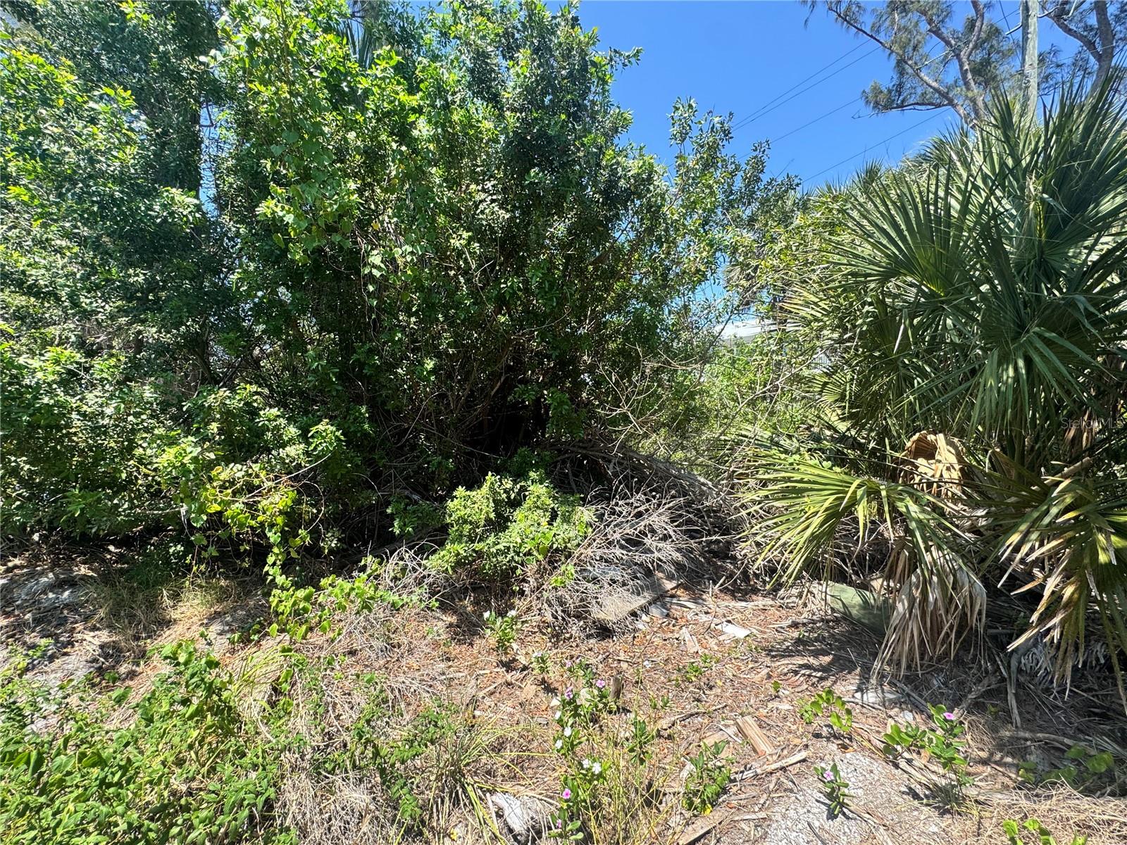 GASPARILLA SHORES - Land