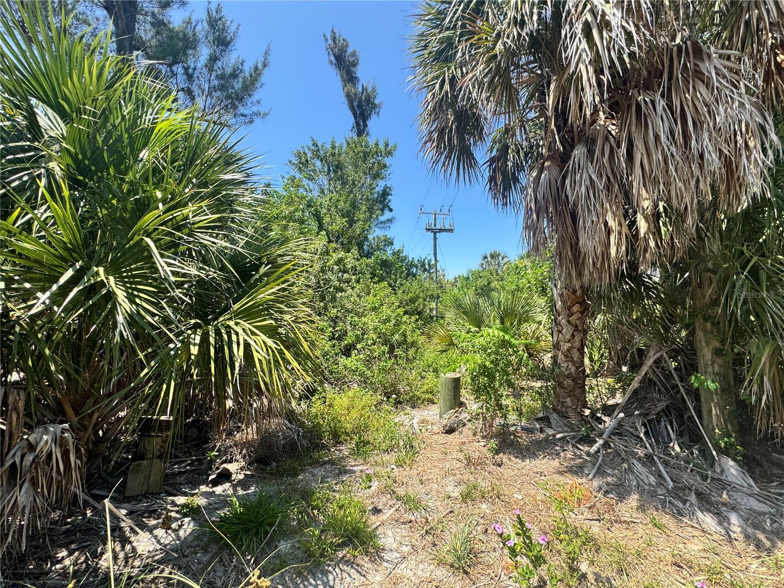 GASPARILLA SHORES - Land