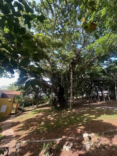 CASA DOS GALLOS - Residential