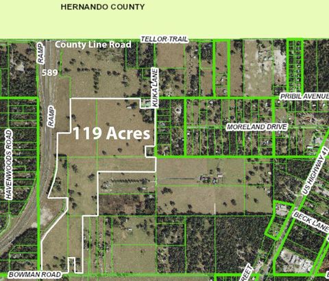Photo of 20139 Bowman Road, Spring Hill, FL 34610 (MLS # W7875851)
