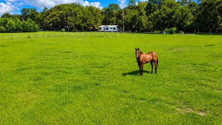 Photo 1 of 54 — 14240 SR 471, WEBSTER, FL 33597