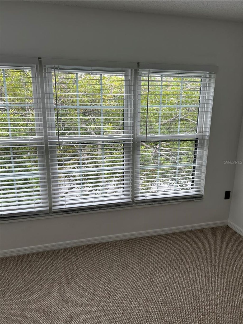 Photo of 2462 Kingfisher Lane #J203, Clearwater, FL 33762 (MLS # TB8472880)