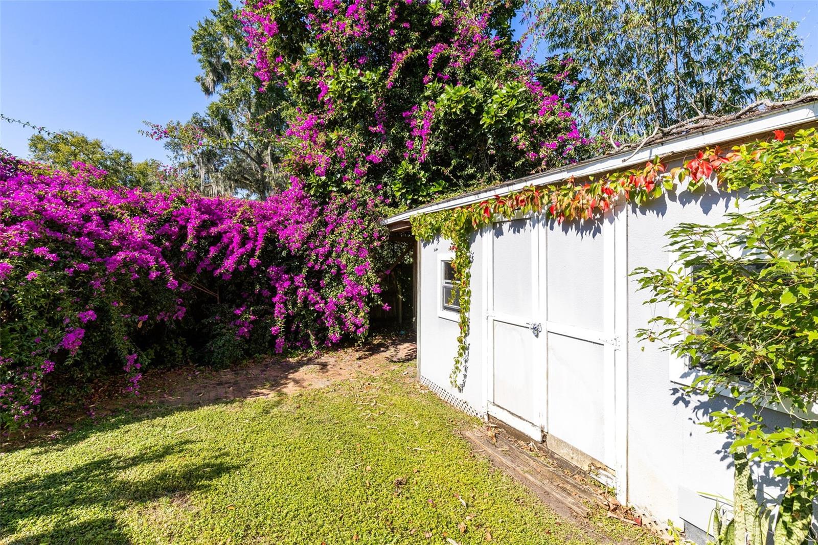 TEMPLE HEIGHTS - Residential