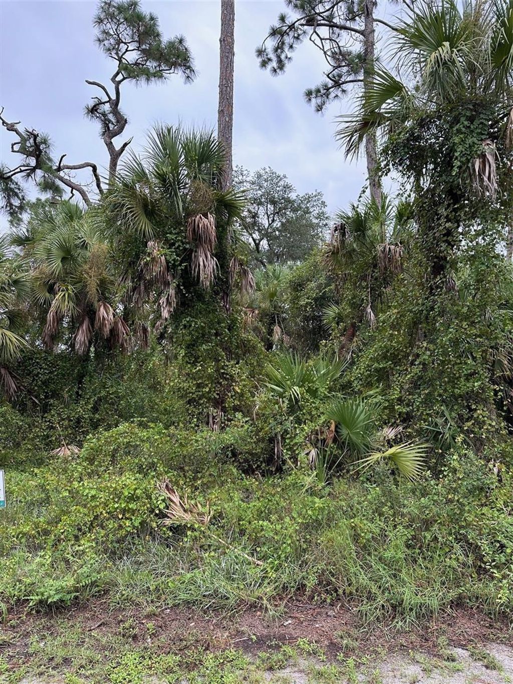 Photo of 82 Statler Street, Port Charlotte, FL 33954 (MLS # C7496999)