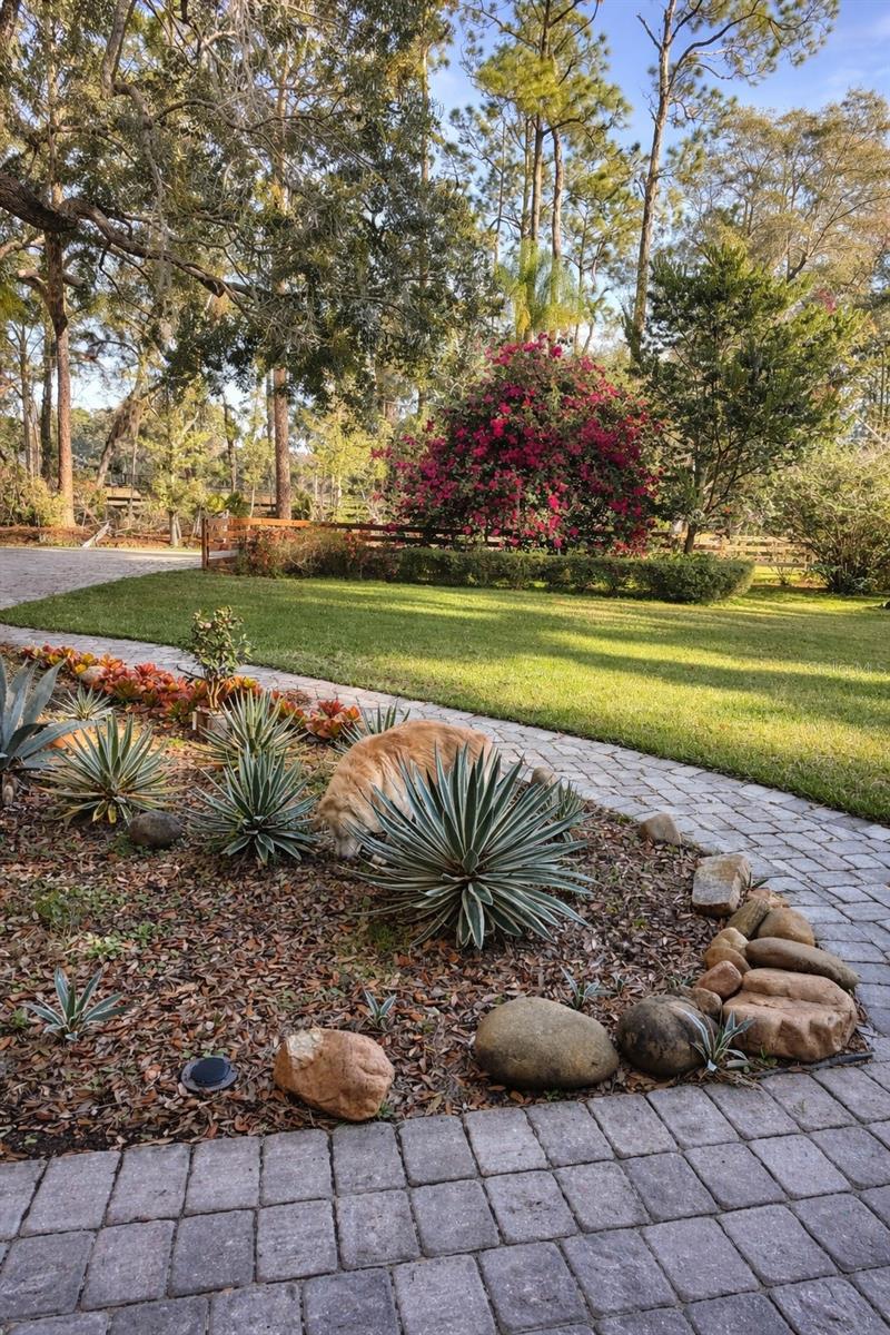 LAKE HART ESTATE - Residential