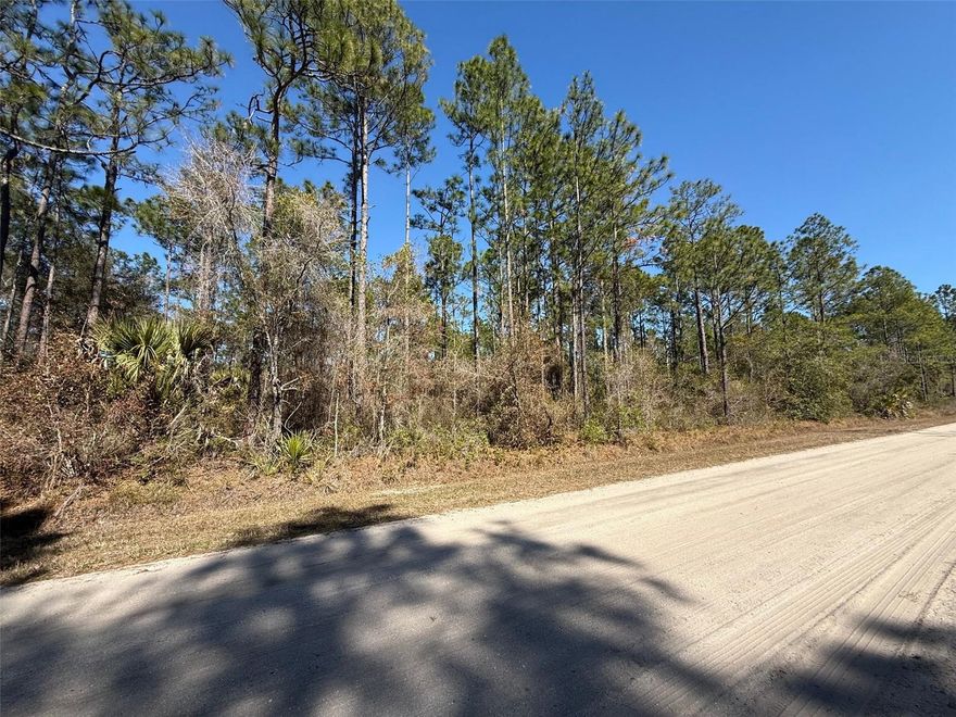 Build your dream home on this beautiful vacant lot in Daytona North. Over an acre of land, nestled in a quiet, established area with no HOA or CDD fees, this property offers the perfect opportunity to create your own piece of paradise. All information in the MLS is intended to be accurate but not guaranteed.