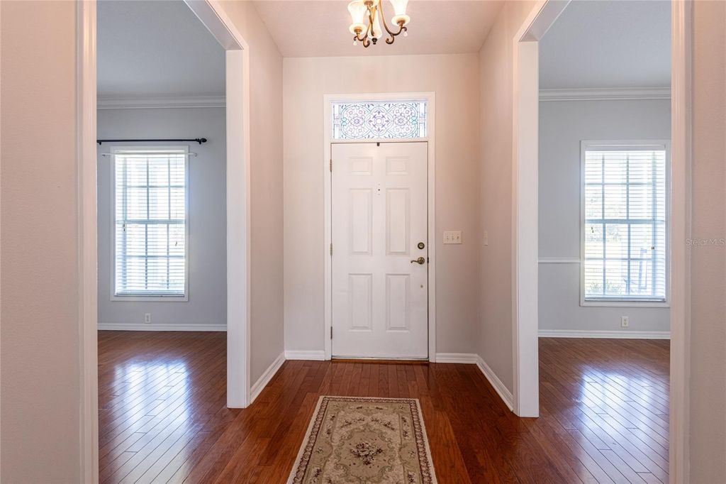 Photo of 6518 Paw Place, Land O Lakes, FL 34639 (MLS # TB8421605)