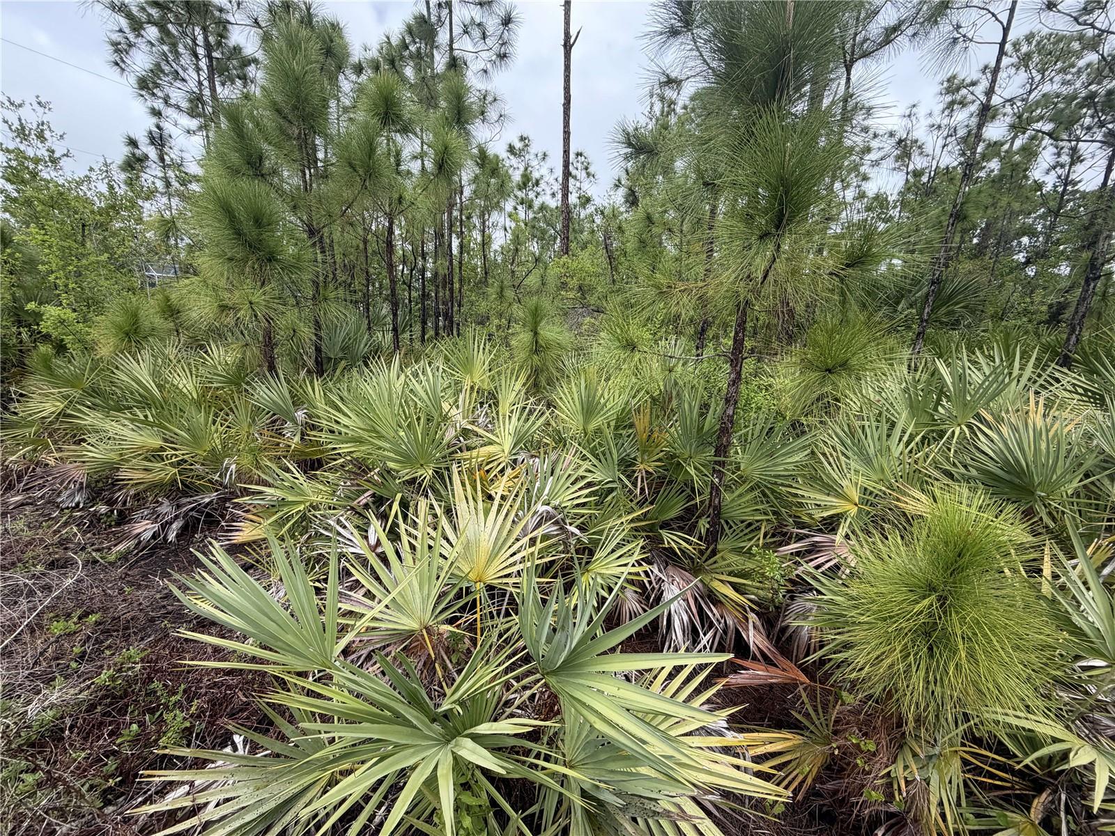 5397 BLUESTONE STREET