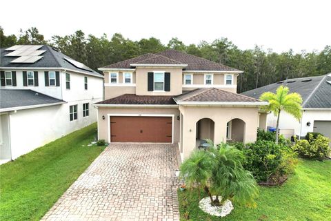 2517 INTERLOCK DRIVE KISSIMMEE FL 34741