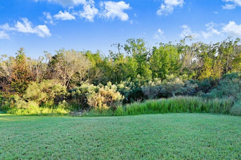 GRAND OAKS PH 02 - Residential