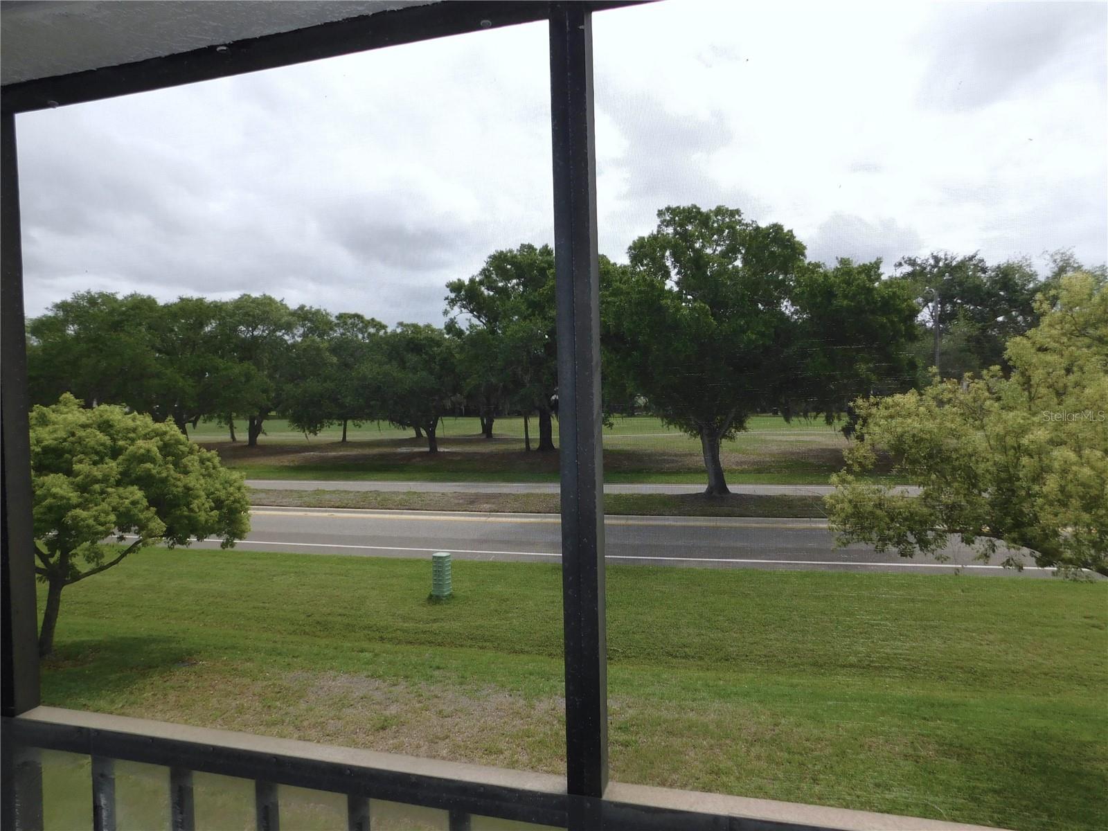 EAST LAKE WOODLANDS CONDO - Residential