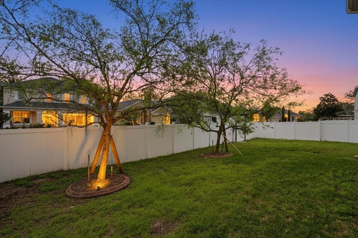 PALM COVE PH 2 - Residential