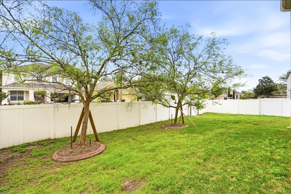 PALM COVE PH 2 - Residential