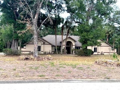 911 CENTERBROOK DRIVE BRANDON FL 33511