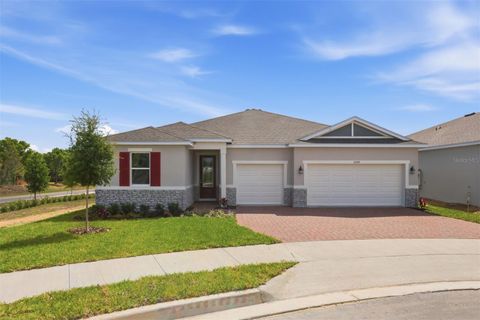 Photo of 2680 Daisy Field Court, Clermont, FL 34711 (MLS # O6405405)