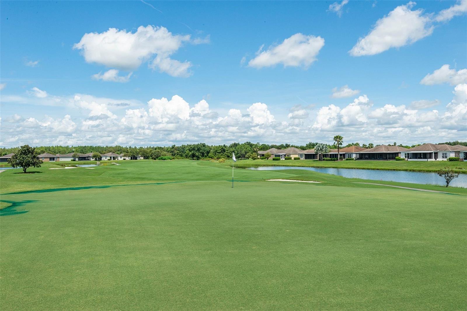 TAMPA BAY GOLF AND TENNIS - Residential