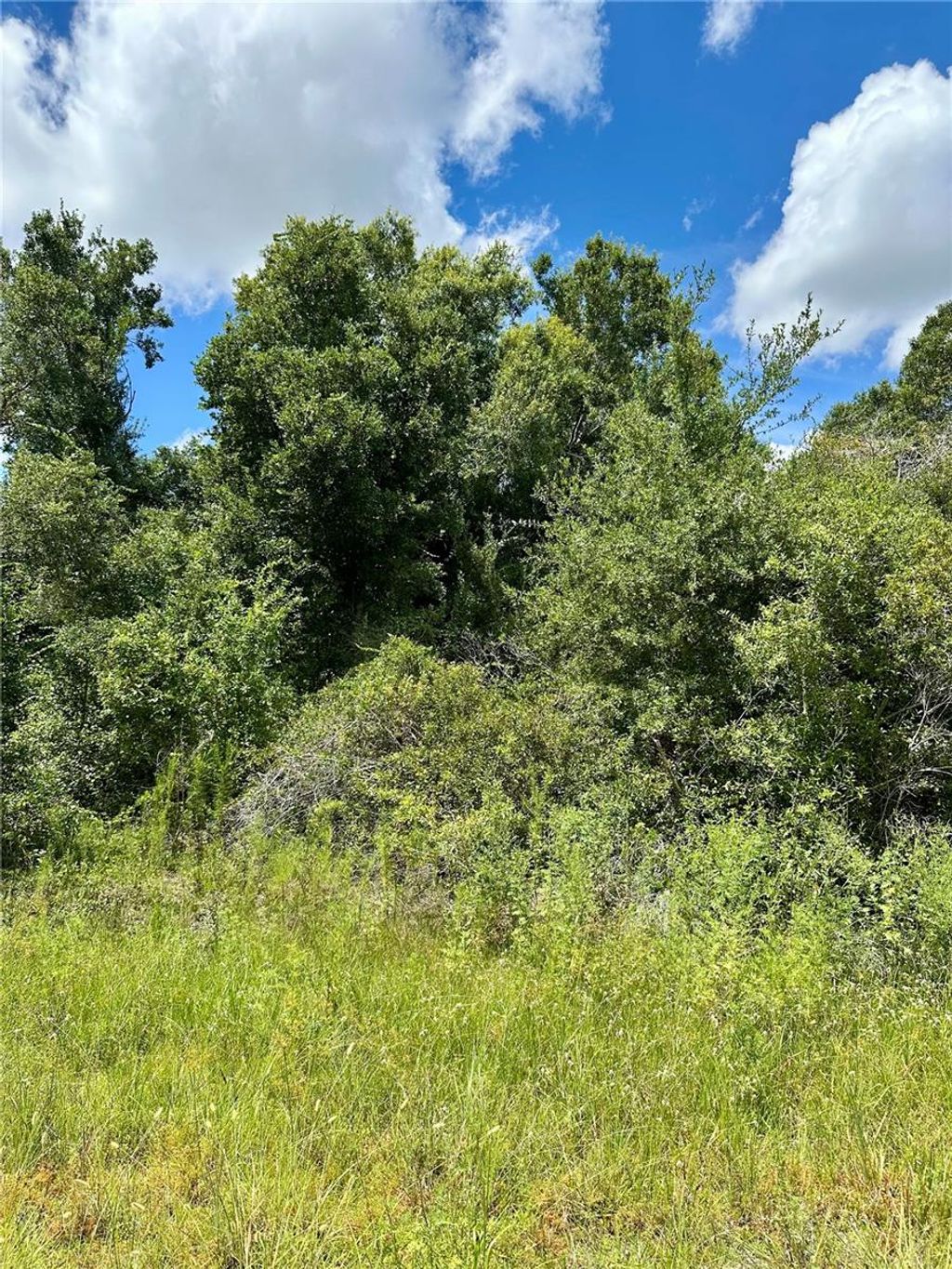 Photo of Constitution Drive, North Port, FL 34291 (MLS # A4661795)