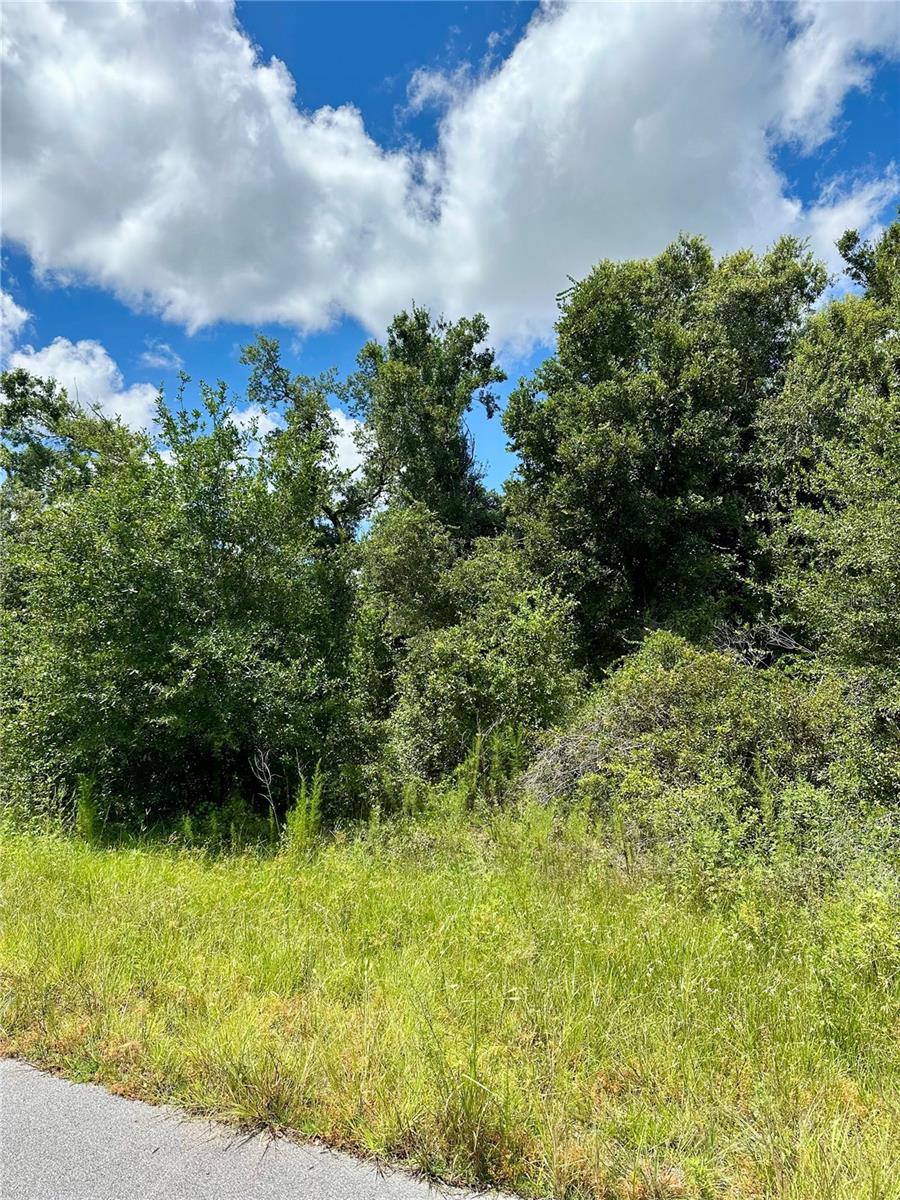 Build Your Dream Home in Fastest Grooving City of N. Port!
Discover this private vacant LOT tucked away on quiet street, backing up to a greenbelt for extra privacy and scenic views. No Flood Zone - piece of mind for years to come! Conveniently located just minutes away from I-75, Warm Mineral Springs, shopping, dining and Golf Coast beaches.