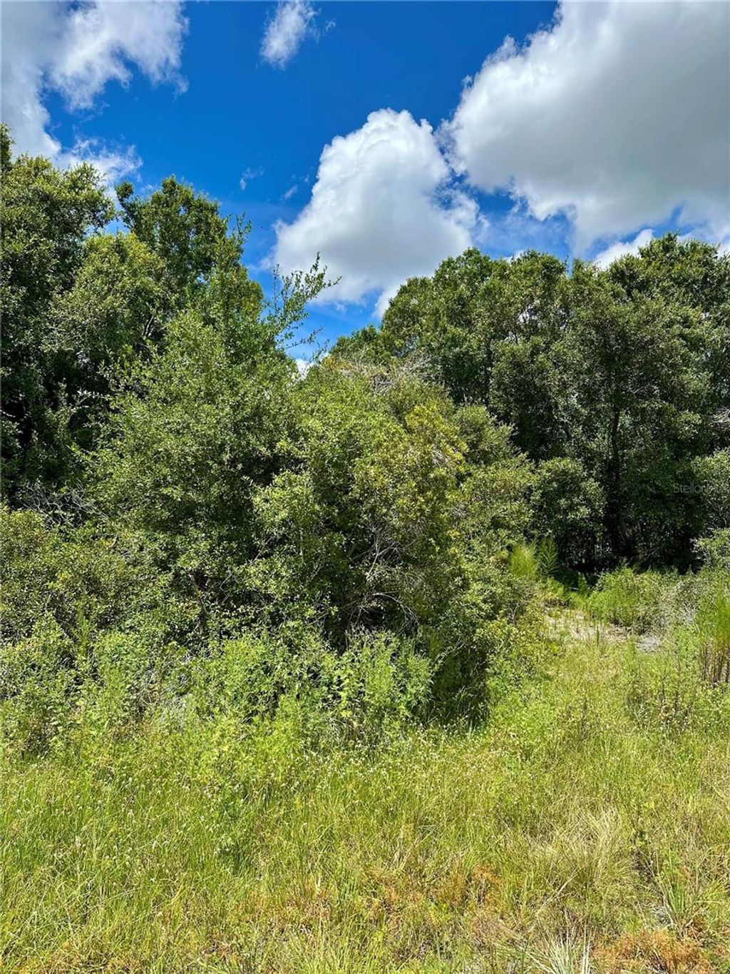 Photo of Constitution Drive, North Port, FL 34291 (MLS # A4661795)